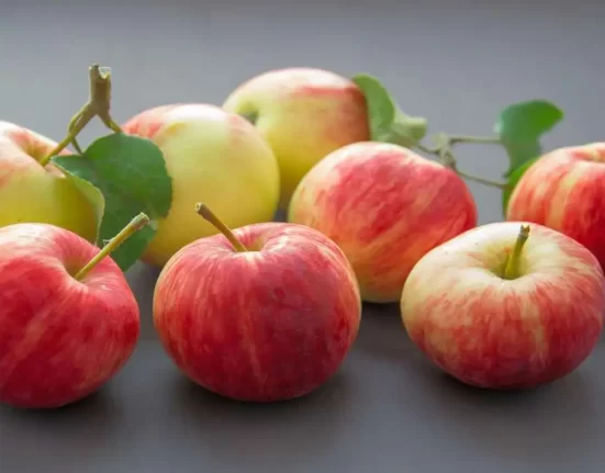 All About Apples: A Simple and Tasty Super Fruit