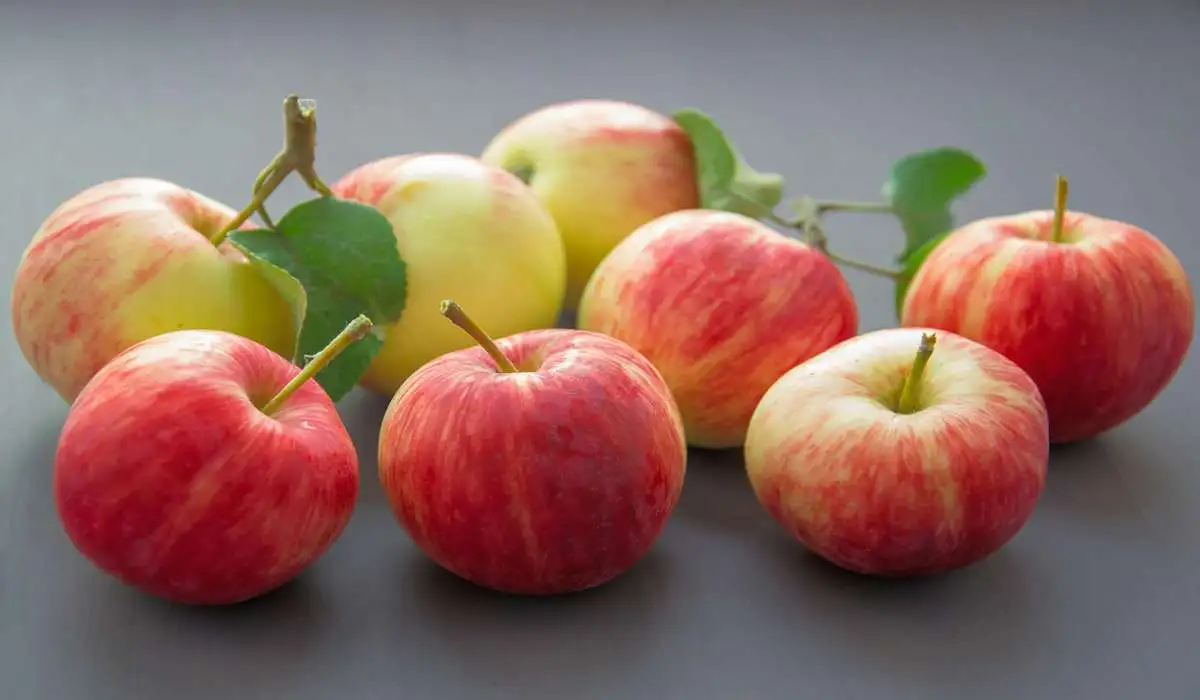 All About Apples: A Simple and Tasty Super Fruit