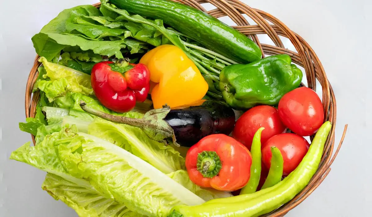 Benefits of Raw Nutrition: Why You Should Try a Raw Diet